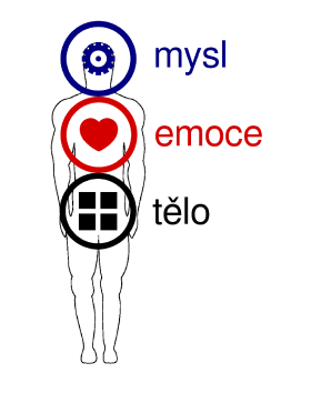mysl-emoce-telo